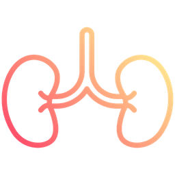 Kidney  Icon