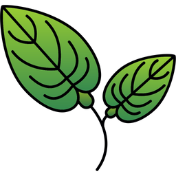 Anthurium  Icon