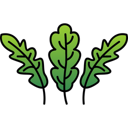 Arugula  Icon