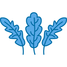 Arugula  Icon