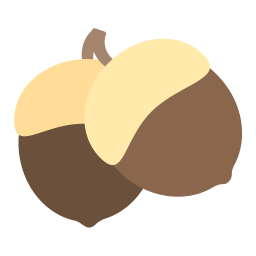 Acorn  Icon