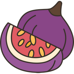 Figs  Icon