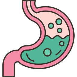 Gastritis  Icon