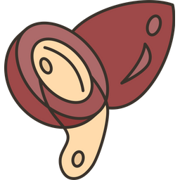 Argan  Icon