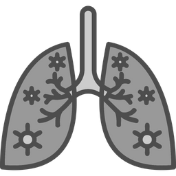 Anatomy  Icon