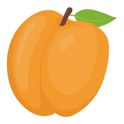 Apricot  Icon