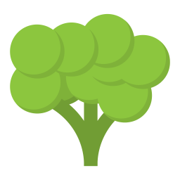 Broccoli  Icon