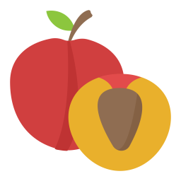 Apricot  Icon