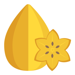 Karambole Stern Frucht Symbol