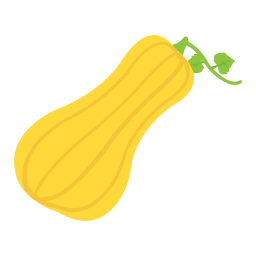 Butternut  Icon