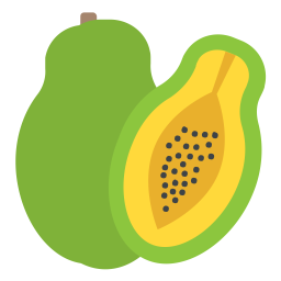 Avocado  Icon