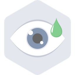 Eye  Icon