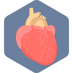 Heart  Icon