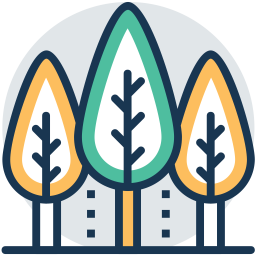 Fir Trees  Icon