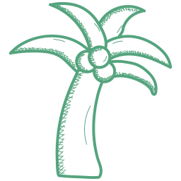 Coconut tree  Icon