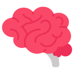 Brain  Icon