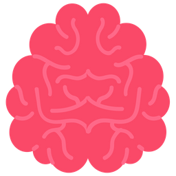 Brain upper view  Icon