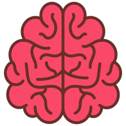 Brain upper view  Icon