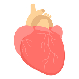 Heart  Icon