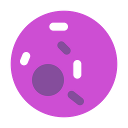 Bacteria  Icon