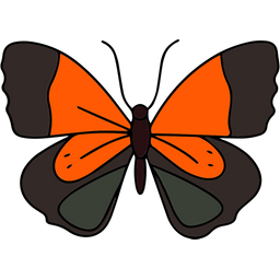 Butterfly  Icon