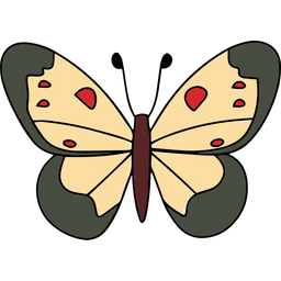 Butterfly  Icon