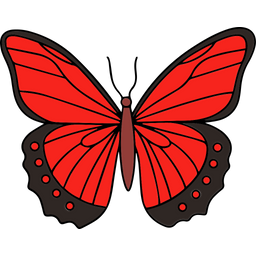 Butterfly  Icon