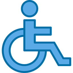 Accessibility  Icon