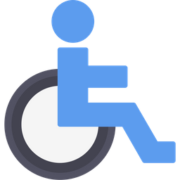 Accessibility  Icon