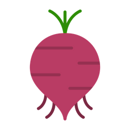 Beet  Icon