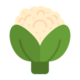 Broccoli  Icon