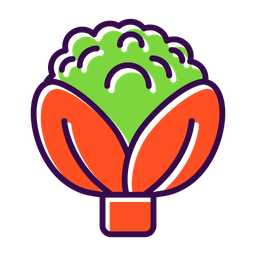 Broccoli  Icon