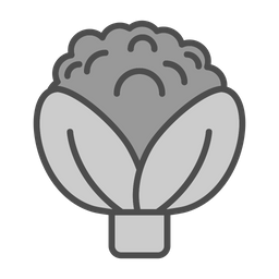 Broccoli  Icon