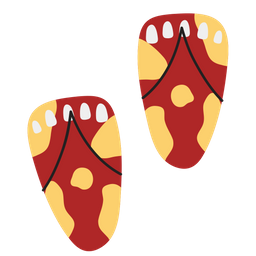 Flip flop  Icon