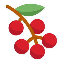 Cute Berry  Icon