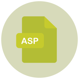 Asp file  Icon