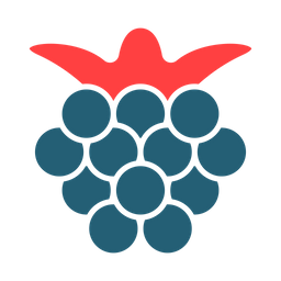 Boysenberries  Icon