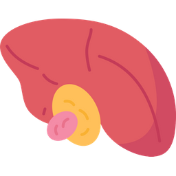 Gallbladder  Icon