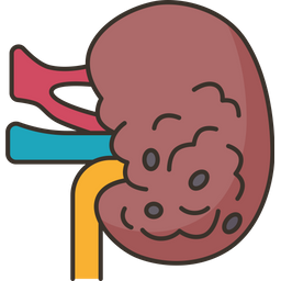 Kidney  Icon