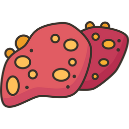 Liver  Icon