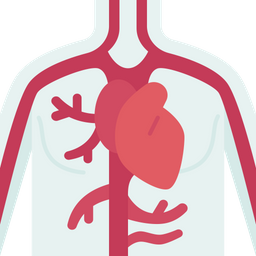 Angiography  Icon