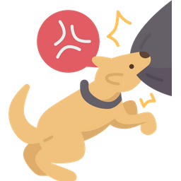 Dog  Icon