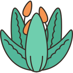 Aloe  Icon