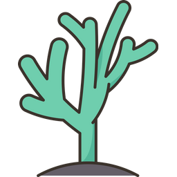 Cactus  Icon