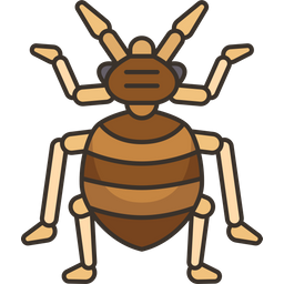 Bug  Icon