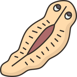 Flatworm  Icon