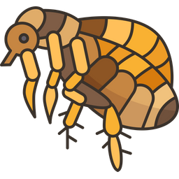 Fleas  Icon