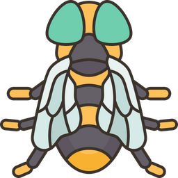 Flies  Icon