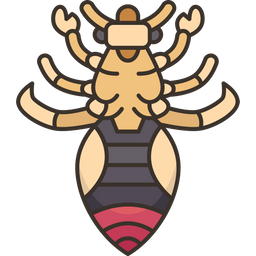 Lice  Icon