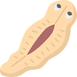 Flatworm  Icon